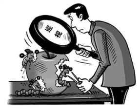 巡视利剑下的沉渣 再议干扰巡视与弄虚作假之源