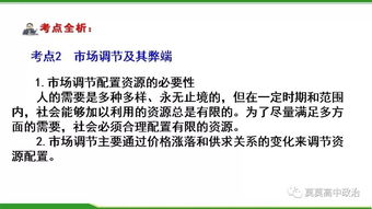 必修一16 走进社会主义市场经济——社会经济咨询服务指南