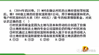 走进社会主义市场经济——社会经济咨询服务解析