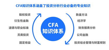 金融人混社会的金牌 cfa